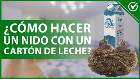 Cómo HACER un NIDO de PÁJAROS con un cartón de leche Nidos con