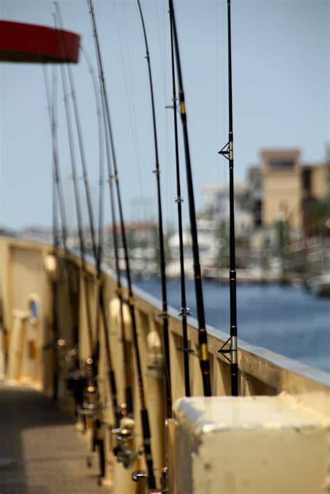 The best fishing rod brands are here - The Fishing Way