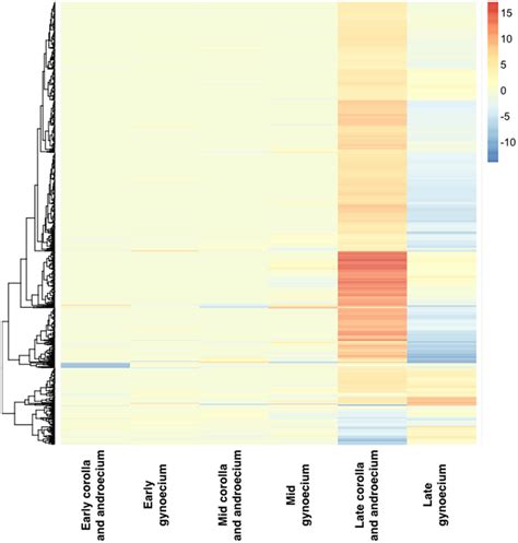 Hierarchical Clustering And Heat Map Of Organs At Three Stages Of