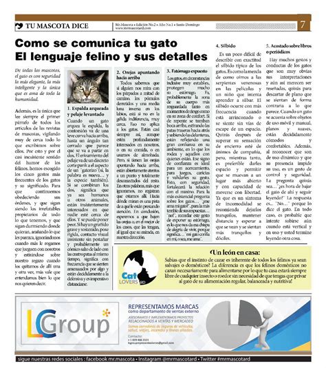 PDF Como Se Comunica Tu Gato El Lenguaje Felino Y Sus Detalles