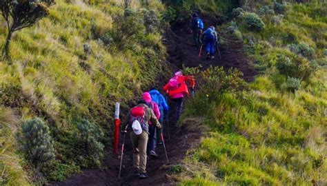 Private Trip Merbabu Dan Cara Membuat Kode Pendaki Gunung Merbabu