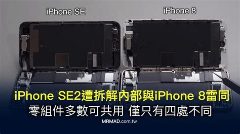 Iphone Se2拆解內部零件與 Iphone 8 通用 僅只有四處不同 瘋先生