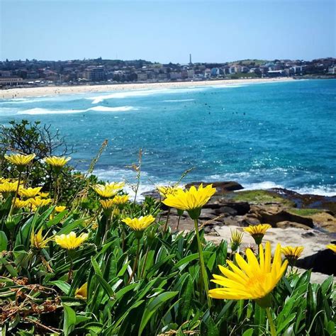 Sol Ayala on Instagram Bondi to Coogee Coastal Walk Imperdível