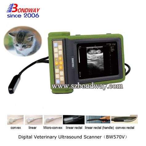 Veterinary Products Cow Pregnancy Test Ultrasound - China Ultasound ...