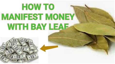 Use Bay Leaves To Manifest Prosperity How To Burn Bay Leaves For