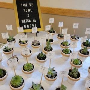 Custom Mini Succulent Watch Me Grow Baptism Favor Plant Sticks Etsy