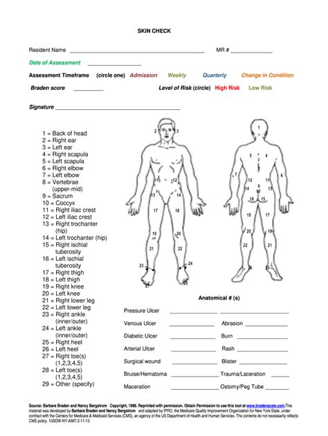 Printable Skin Assessment Form Printable Form 2024 A3c