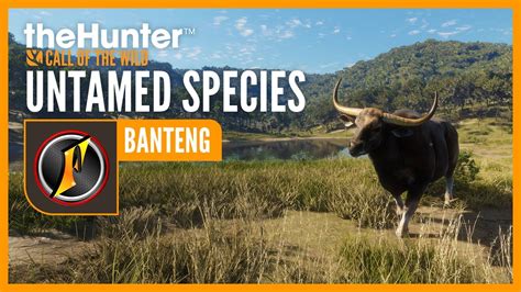 Untamed Species Banteng With Flinter TheHunter Call Of The Wild