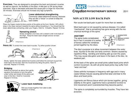 Pelvic Floor Exercises Nhs Pdf | Viewfloor.co