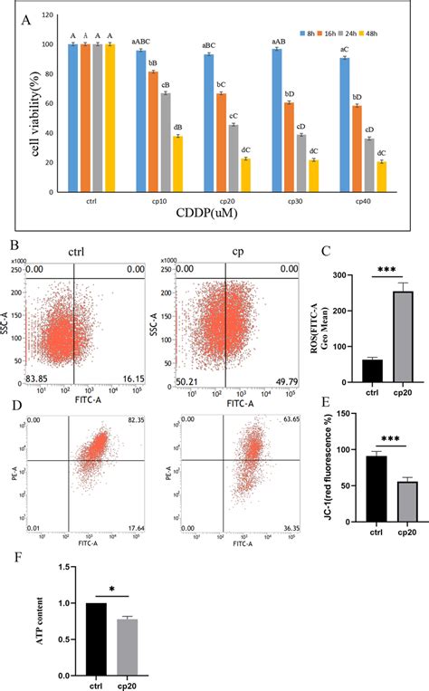 Cisplatin Reduced Cell Viability And Affected Mitochondrial Function In