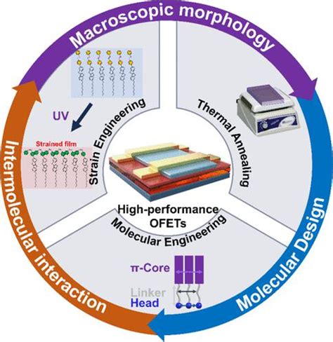 高性能有机场效应晶体管的超分子设计和组装工程accounts Of Materials Research X Mol