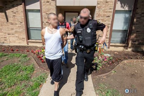 ICE-led Gang Surge Nets 1,378 Arrests Nationwide - American Renaissance