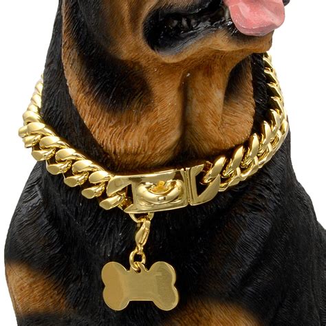 Chain Dog Collars