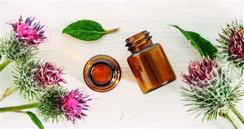 Why You’ve Got Seasonal Allergies – and Natural Ways to Beat Symptoms