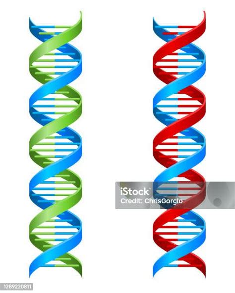 Dna Double Helix Molecule Illustration Stock Illustration Download