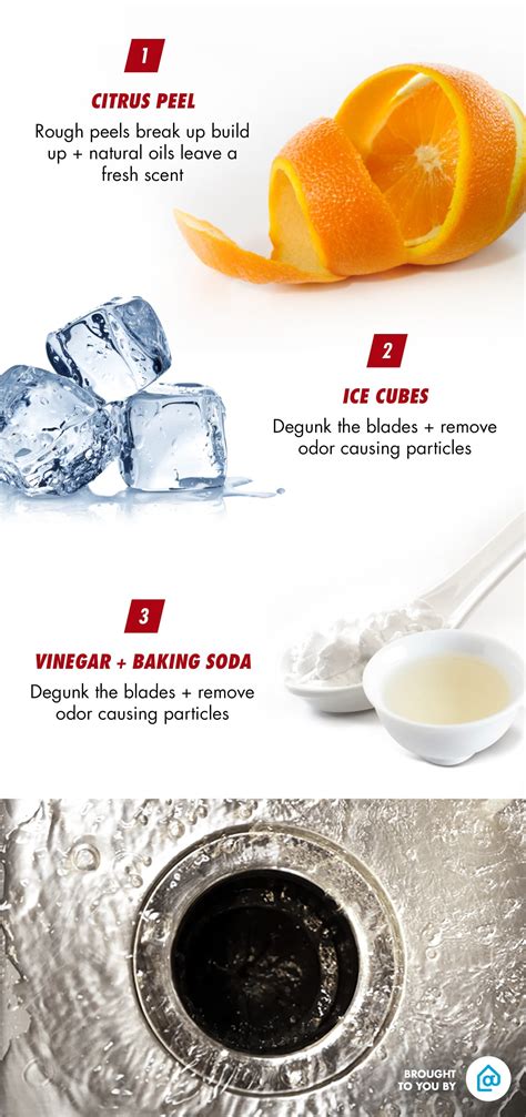 diy garbage disposal cleaner 9