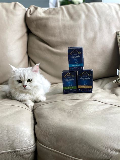 Trial Pack Halal Cat Food Multi Flavours - Tiana Halal Cat Food