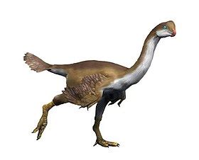 Troodontidae - Wikipedia