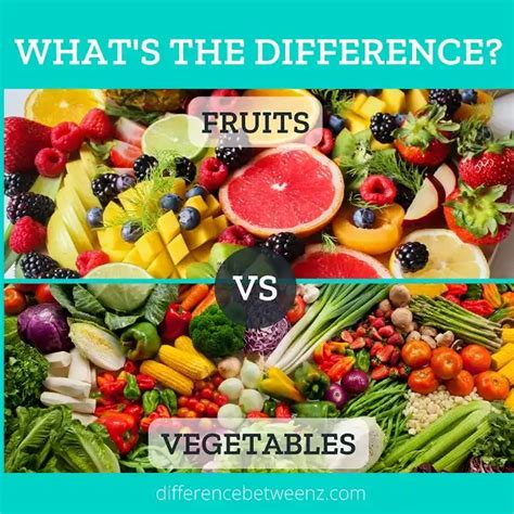 Difference Between Fruits And Vegetables Fruits Vs Vegetables