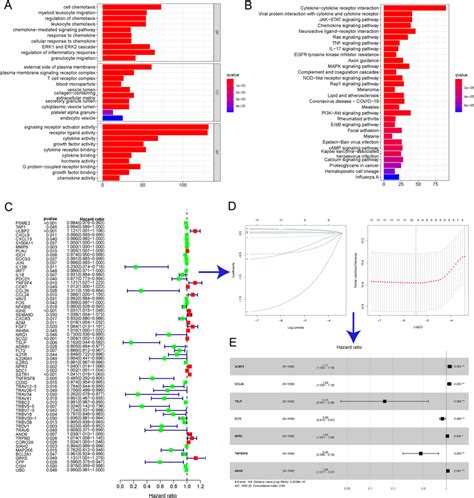 Characteristics Of Immune Related Genes IRGs And Construction Of The