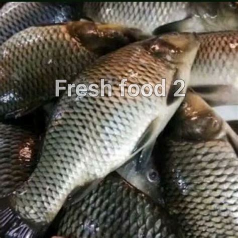 Jual Ikan Mas Hidup Fresh Dan Segar 1 Kg Shopee Indonesia