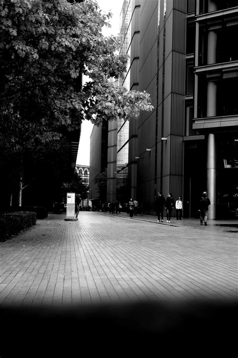 South Bank on Behance