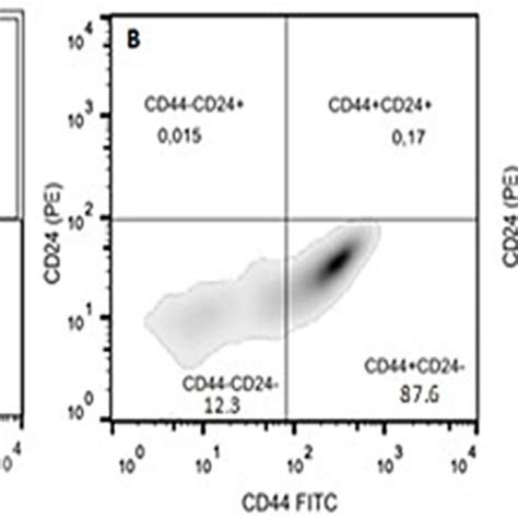 Flow Cytometry A Mda Mb 231 Cell Line B Mda Mb 436 Cell Line And Download Scientific