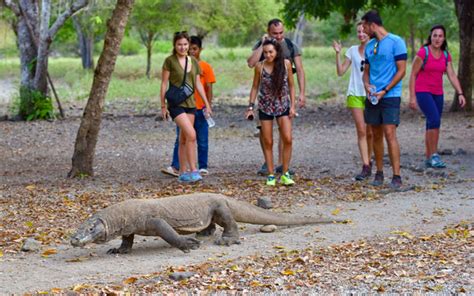 Indonesia’s Komodo island to remain open | TTG Asia