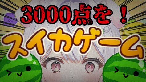 朝活 スイカゲーム】初3000点い”き”た”い”い”っっ！！！！【vtuber 忠犬やくも】 Youtube