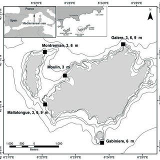 Port-Cros National Park. Location of the study sites and depths at each ...