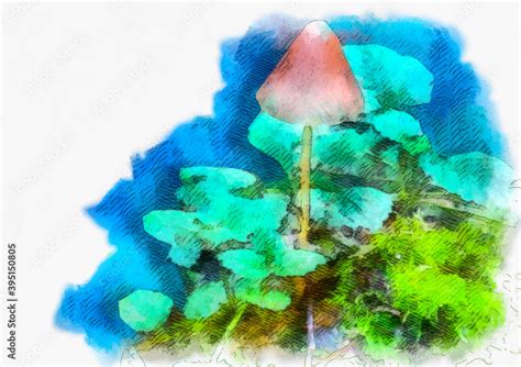 mushroom sketch watercolor painting art Stock Illustration | Adobe Stock