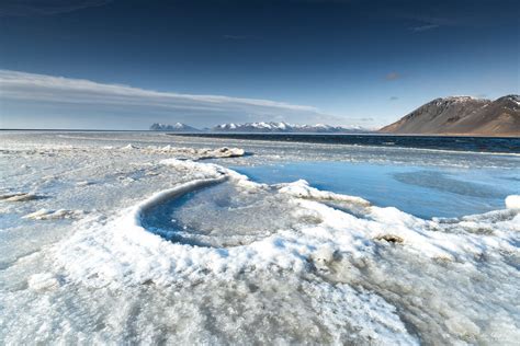 Hvalnes Iceland Di Chap Flickr