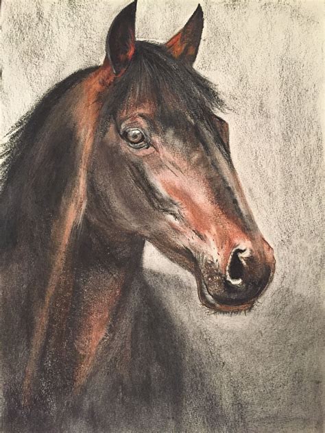 Horse Pencil Drawing, Pencil Drawings, Portraits, Horses, Animals ...