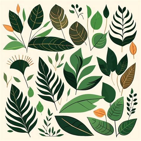 Premium Vector Eps Rainforest Leaf Vector Elements