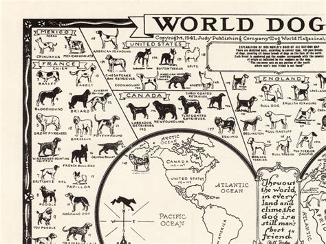 Vintage Dogs Wall Art Dogs Poster Map Breeds of Dogs Dog | Etsy