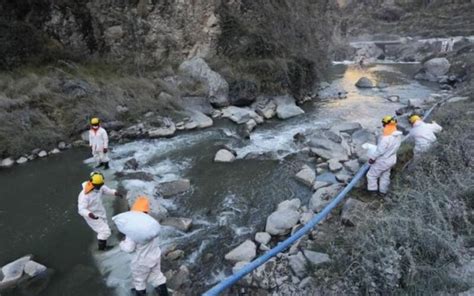 Toneladas De Zinc Caen A Un R O Y Causa La Muerte De Miles De Truchas