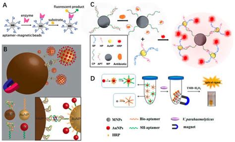 Biosensors Free Full Text Recent Advances In Biomolecular Detection