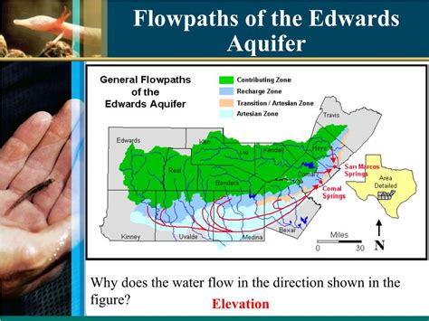 Ppt Aquifersedwards Aquifer Powerpoint Presentation Free Download