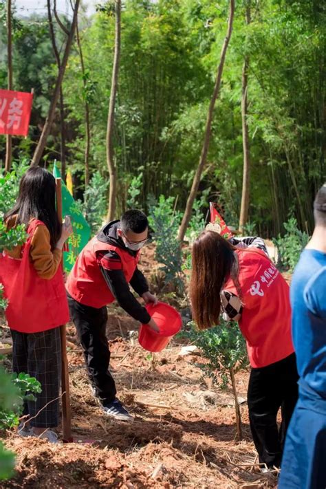 “互联网＋全民义务植树”为绿美潮州生态建设增绿添彩 关注森林