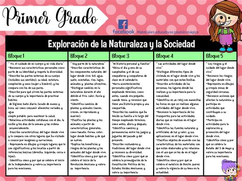 APRENDIZAJES ESPERADOS EN TODOS LOS GRADOS DE PRIMARIA Imagenes