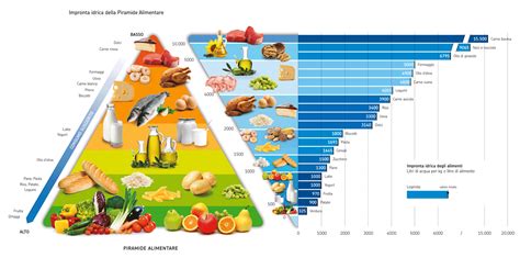 Piramide alimentare idrica cibi a più alto impatto ambientale