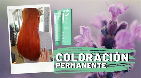 Los Distintos Tipos De Coloraciones En El Cabello