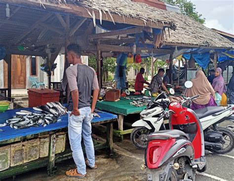 Harga Ikan Tongkol Melonjak Hingga Rp50 Ribu Per Kilogram