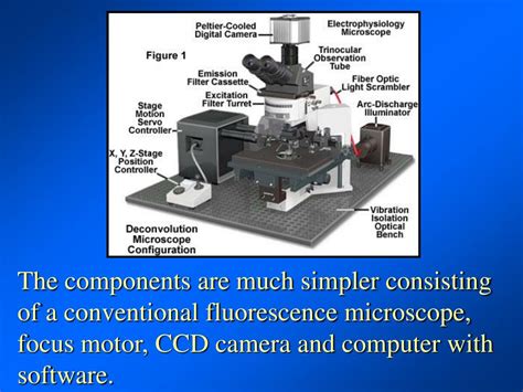 PPT - Deconvolution Microscopy PowerPoint Presentation, free download ...