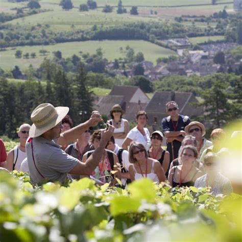 Encontro Os Viticultores Beaune E A Regi O De Beaune Turismo