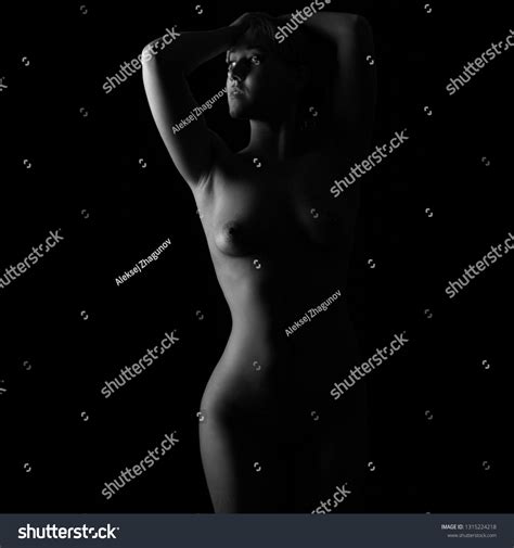Sexy Body Nude Woman Naked Beautiful Stock Photo Shutterstock