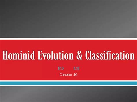 PPT - Hominid Evolution & Classification PowerPoint Presentation - ID:2062051