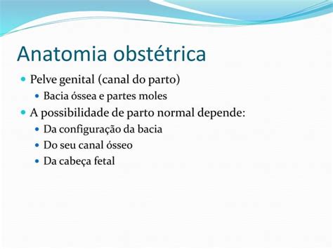 Anatomia Do Sistema Reprodutor Feminino E Anatomia Obstétrica Ppt