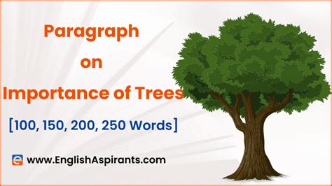 Paragraph On Importance Of Trees 100 150 200 250 Words