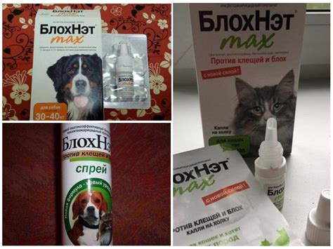 Спрей и капли Блохнэт для кошек и собак – инструкция по применению, отзывы